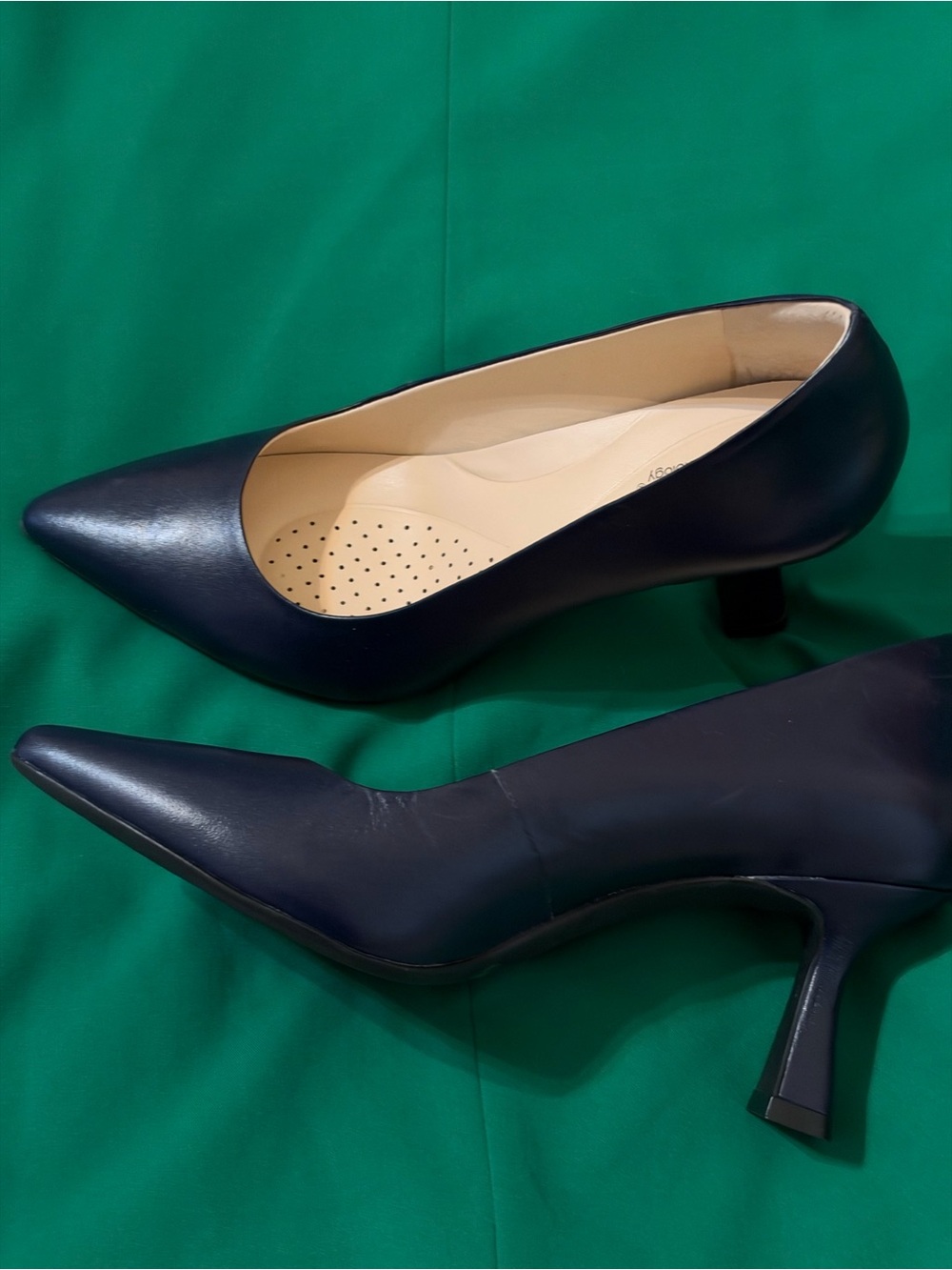 Alex Marie Dark Navy Pointed-Toe Mid Heel Pumps
